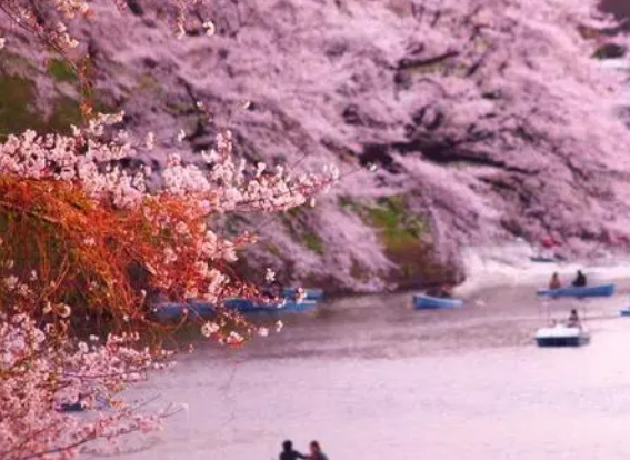 日本景