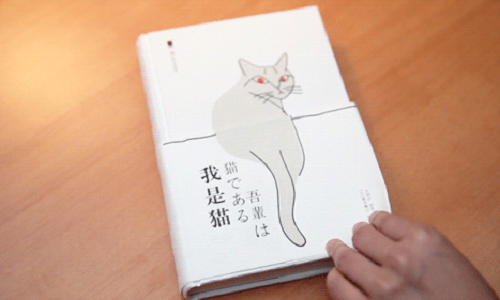 我是猫