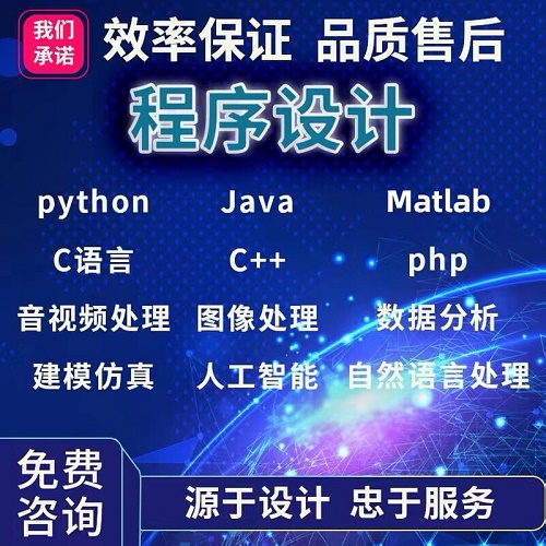 Python Matlab代做 C 优化算法 数据分析