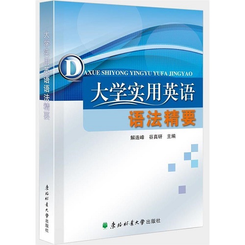 正版图书 大学实用英语语法精要