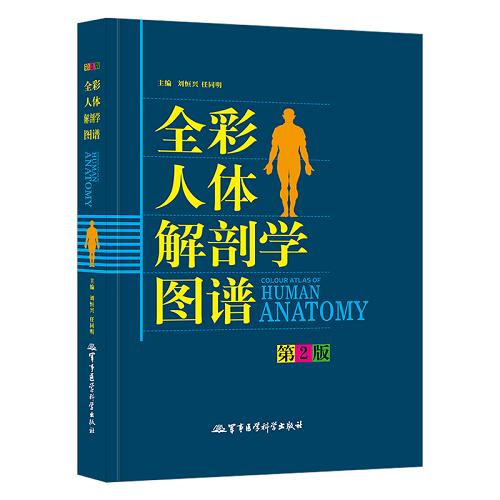 全彩人体解剖学图谱 第2版 中英文标识