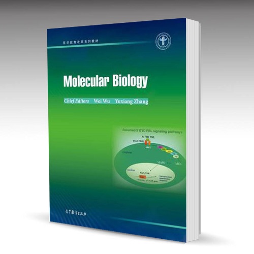 分子生物学 英文版 Molecular Biology