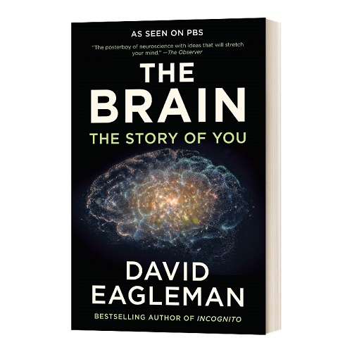 The Brain 大脑解密手册 进口英语原版书籍