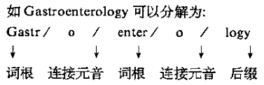 Gastroenterology分解.png