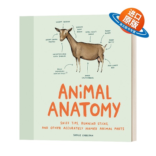 英文原版 精装 Animal Anatomy 动物解剖学