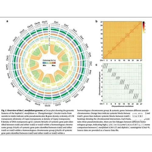 留学生minitab生物医学 数据分析