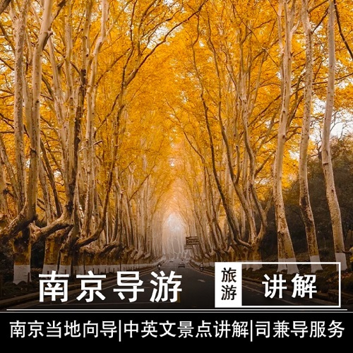 南京一日游中文英文导游讲解服务