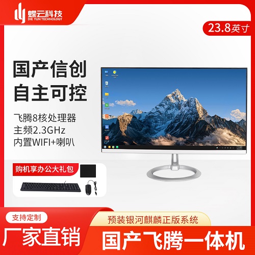 国产化飞腾D2000/8核一体机 国产CPU 系统