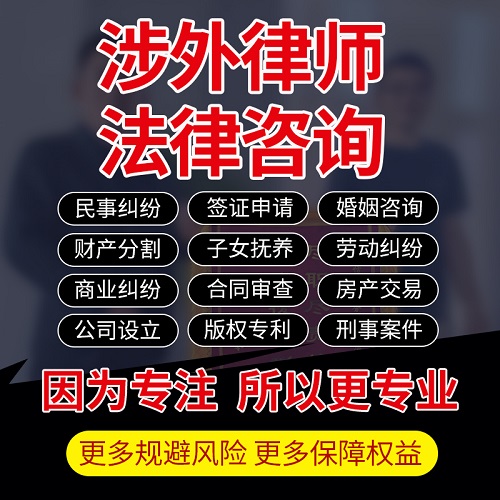 涉外律师 英法美国法律咨询 留学出国签证