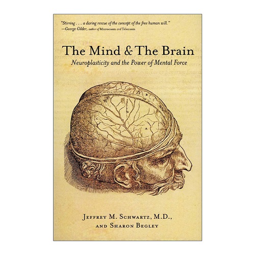 英文原版 The Mind and the Brain 重塑大脑
