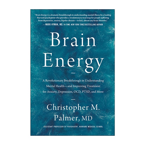 英文原版 Brain Energy 大脑能量