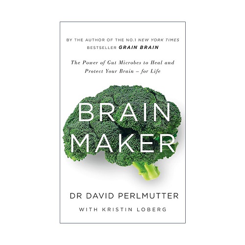 英文原版 Brain Maker 菌群大脑