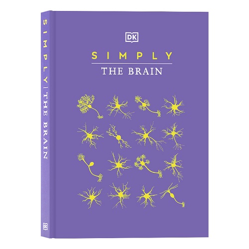 DK百科 大脑简释 英文原版 Simply The Brain