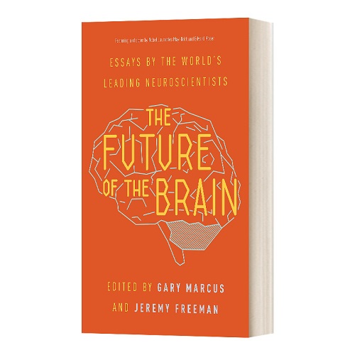 英文原版 The Future of the Brain 大脑的未来