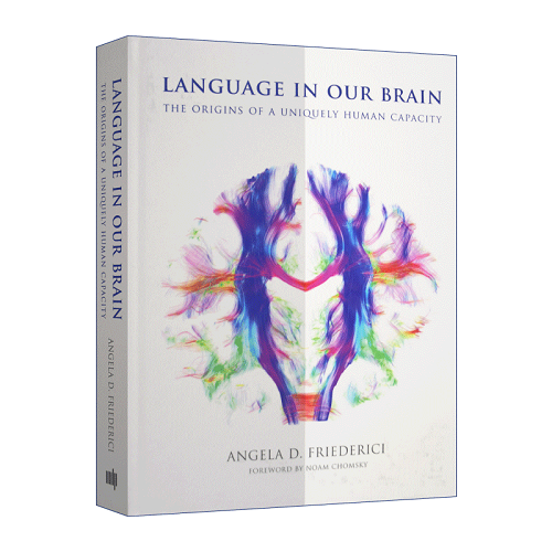 英文原版 Language In Our Brain 我们大脑中的语言