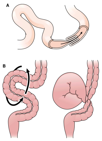 Fig.1.png