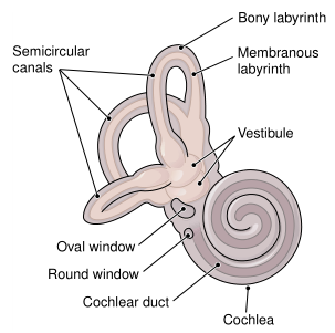 Fig. 2.png