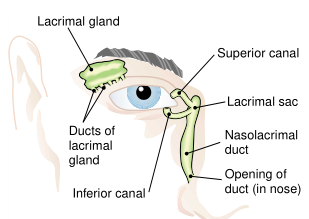 Fig.2.png