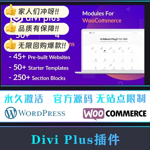 Divi Plus 汉化中文版 WordPress插件