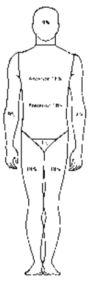 Fig. 1.png