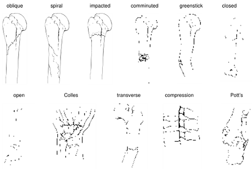 Figure 1.png