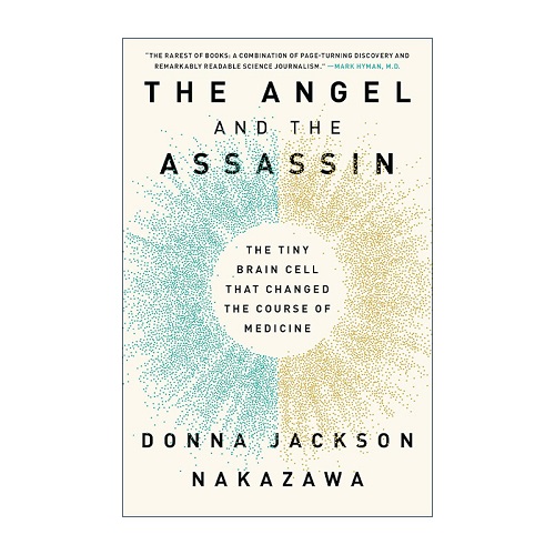 英文原版 The Angel and the Assassin 天使与刺客