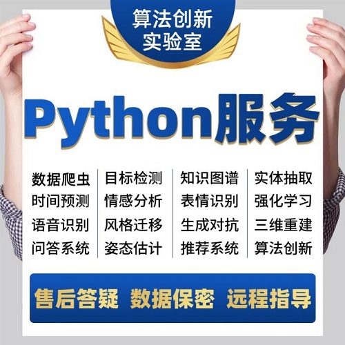python代编程 深度学习算法代码编写 答疑大模型
