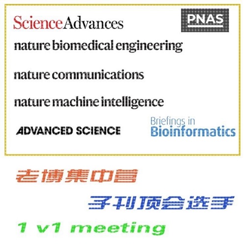 大语言模型nlp 神经网络代做 1v1辅导咨询