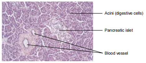 Fig. 1.png
