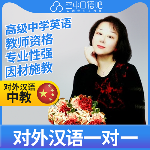 对外汉语鑫鑫老师网课 英语教师资格