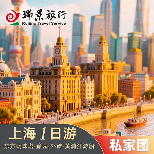 私家团上海一日游 英文导游接待