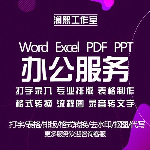 人工录入排版 WORD文字提取抄写 EXCEL表格