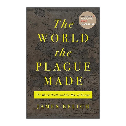 英文原版 The World the Plague Made 瘟疫塑造的世界