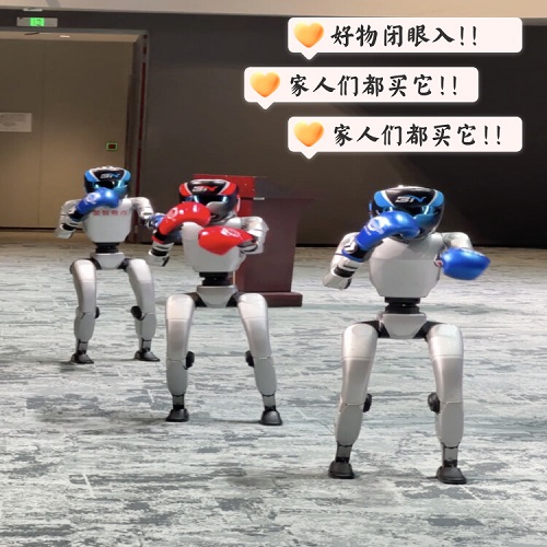 宇树机器人 g1租赁拳击机器人 企业活动表演