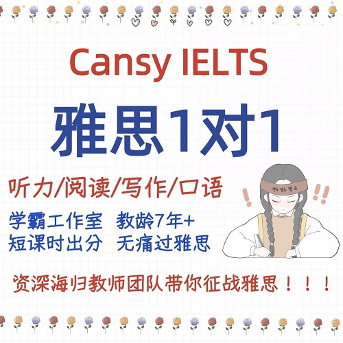 雅思一对一暑假班网课 全科定制
