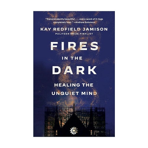 英文原版 Fires in the Dark 黑暗中的火焰 治愈不安的心灵