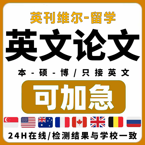 留学生各科英语essay 论文查重 ai检测服务