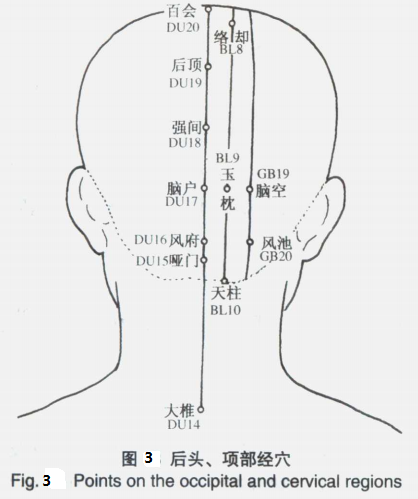 Fig.3.png