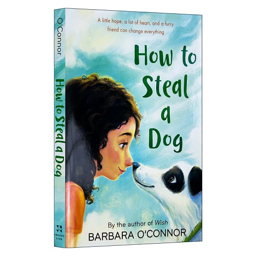 英文原版 How To Steal A Dog 如何偷走一只狗