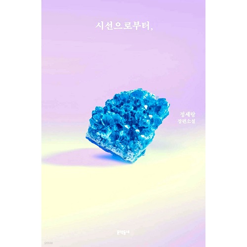 韩文原版 从诗善开始 시선으로부터, 郑世朗