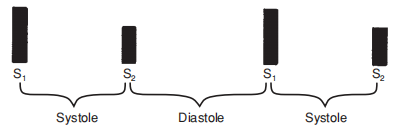 FIGURE 1.png FIGURE 1.png
