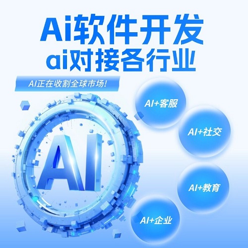 AI软件定制开发 企业ai大模型应用 问答小程序