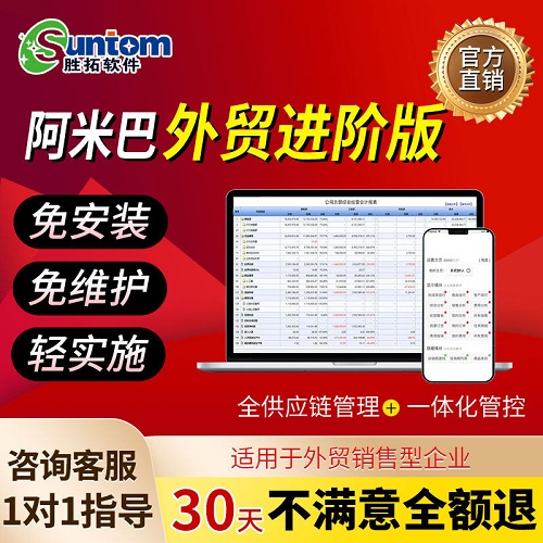 胜拓阿米巴软件 A4外贸版进销存费用财务软件