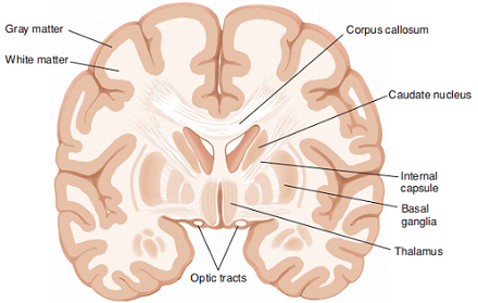 FIGURE 1.png FIGURE 1.png