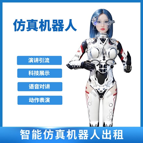 机器人商业活动租赁 展厅真智能服务机器人