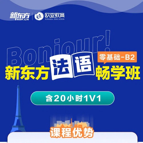 新东方法语网课一对一辅导 零基础学A1/A2/B1/B2