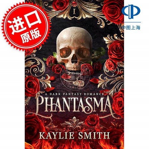 正版书籍 幻影 黑暗奇幻爱情小说 英文原版