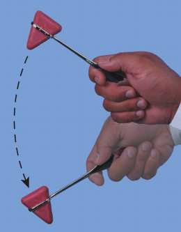 FIGURE 1.png FIGURE 1.png