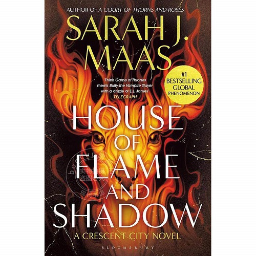 正版书籍 火焰与阴影之屋 新月都市系列第三部 畅销奇幻小说