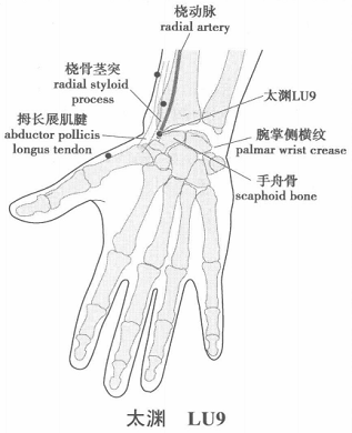 太渊.png 太渊.png